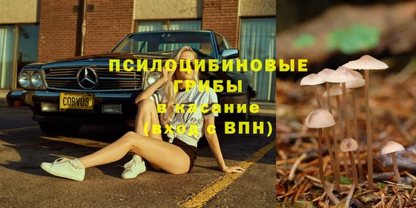 apvp Щигры