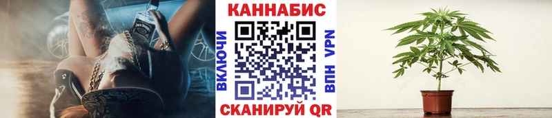 Каннабис SATIVA & INDICA  наркошоп  маркетплейс Telegram  Приозерск 